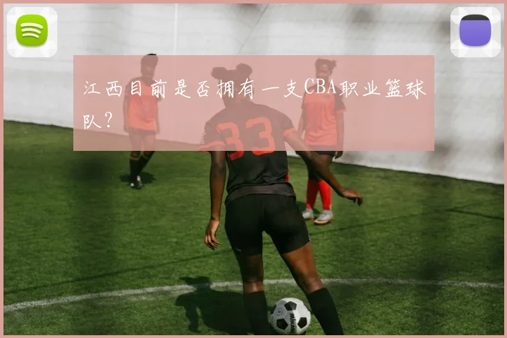 江西目前是否拥有一支CBA职业篮球队？