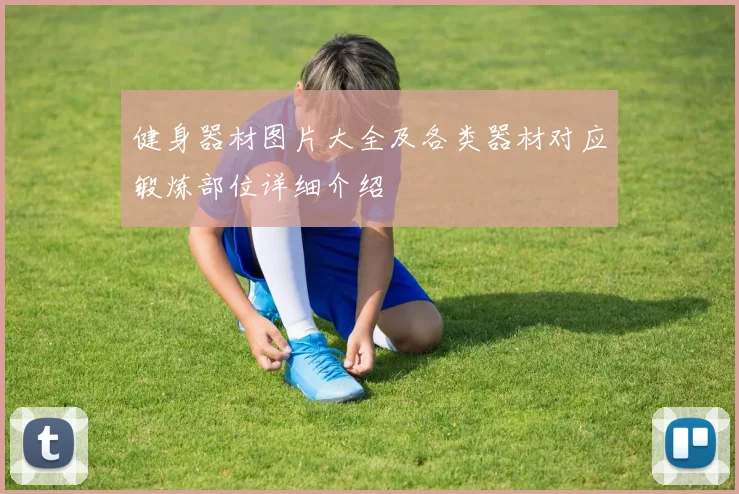 健身器材图片大全及各类器材对应锻炼部位详细介绍