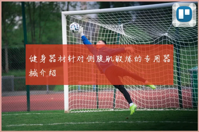 健身器材针对侧腹肌锻炼的专用器械介绍