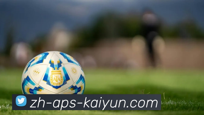 开云体育平台生态图