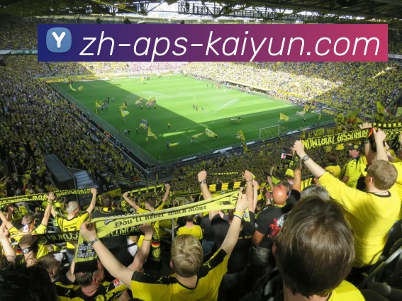 开云体育APP 封面图